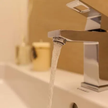 Feskerhues, Nina 베스터란트