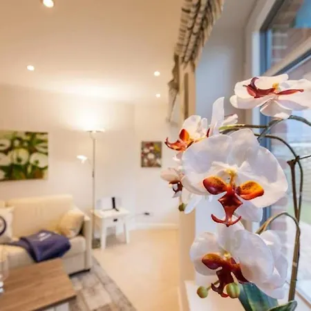 아파트 Feskerhues, Nina 베스터란트